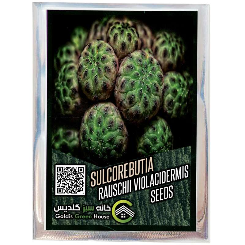 بذر کاکتوس سولکوربونیا راوچی خانه سبز گلدیس کد 37