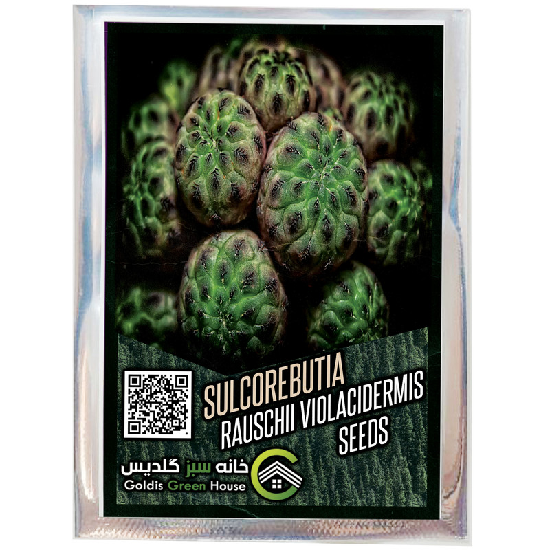 بذر کاکتوس سولکوربونیا راوچی خانه سبز گلدیس کد 37