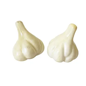 میوه تزیینی مدل سیر کد 587 بسته 2 عددی