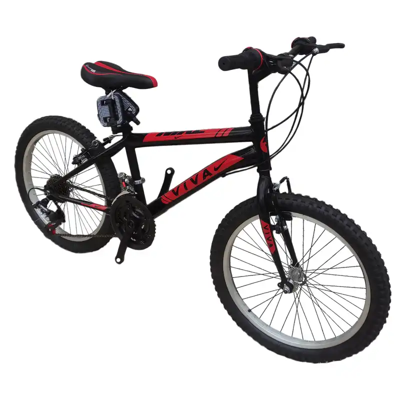 دوچرخه کوهستان ویوا مدل summer 021 سایز 20