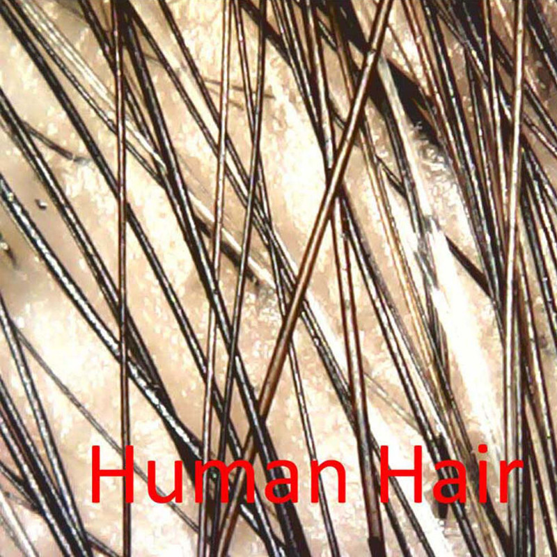 میکروسکوپ دیجیتال مدل hl-1600X