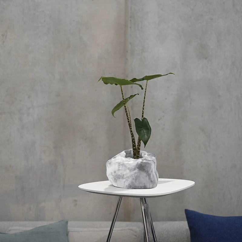 عکس شماره 3 : گلدان بوتنیا طرح سنگ کد b09d7qyyq9