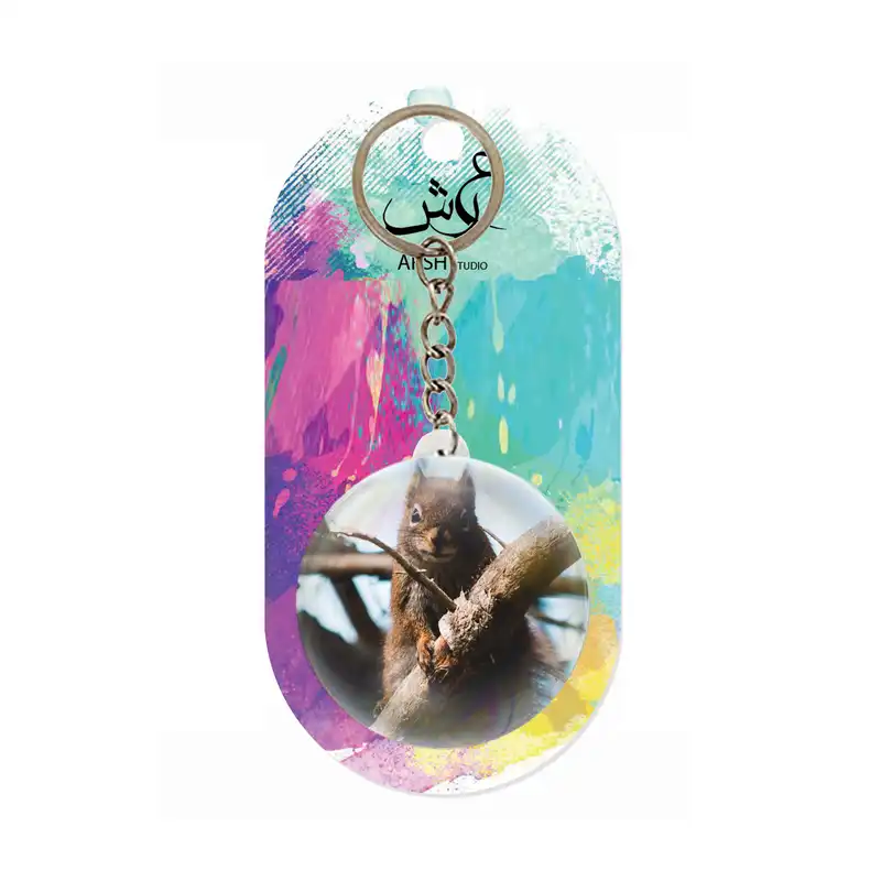 جاکلیدی عرش مدل فانتزی سنجاب کد Asj6097