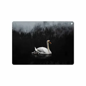 MAHOOT Swan Lake Cover Sticker for Apple iPad Air 2 2014 A1567