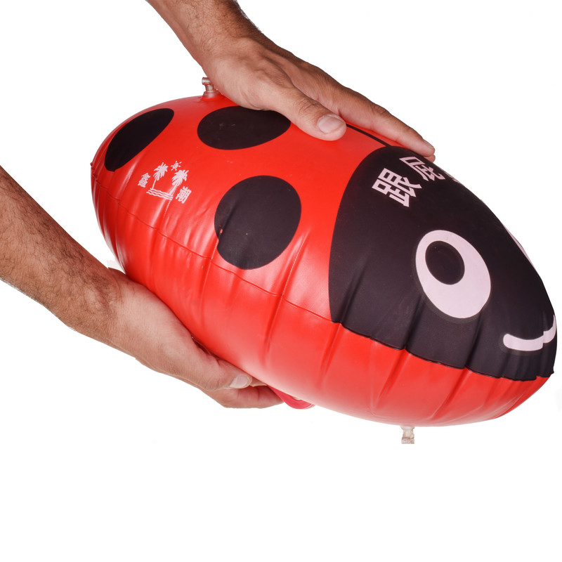 شناور بادی مدل کفشدوزکی