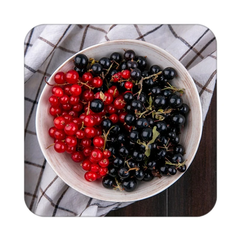 زیر لیوانی کاکتی طرح میوه مدل mp22303