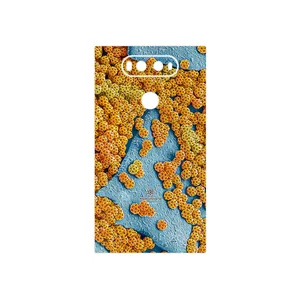 MAHOOT Atom Universe 7 Cover Sticker for LG V20