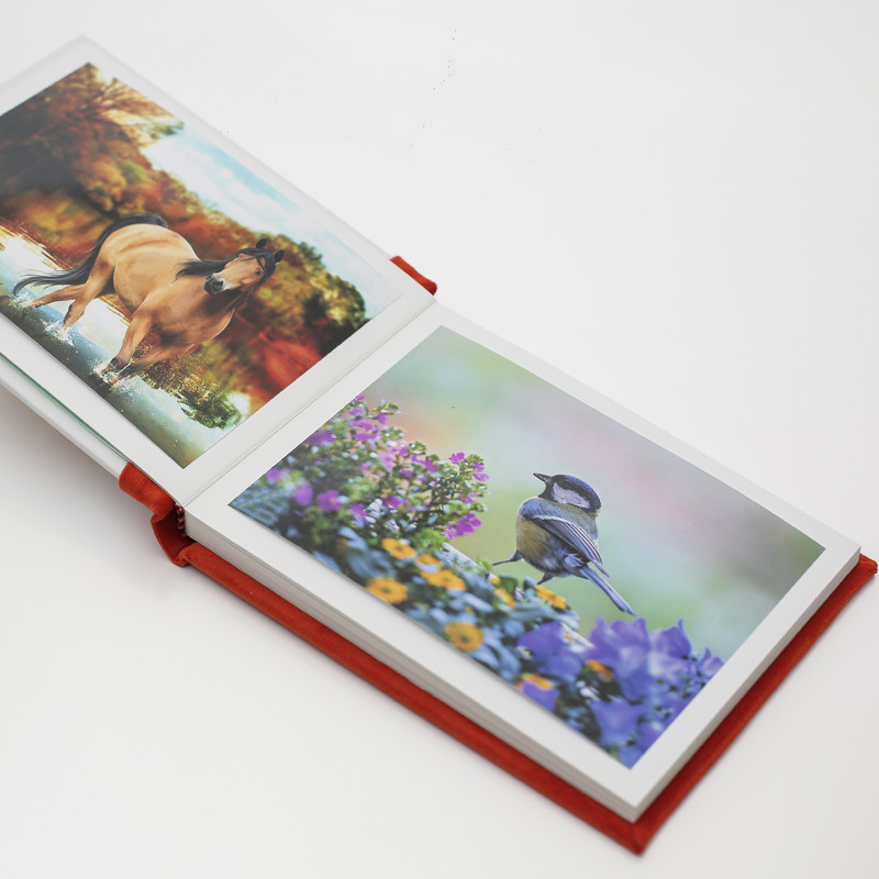 آلبوم عکس کودک مدل robah-1318