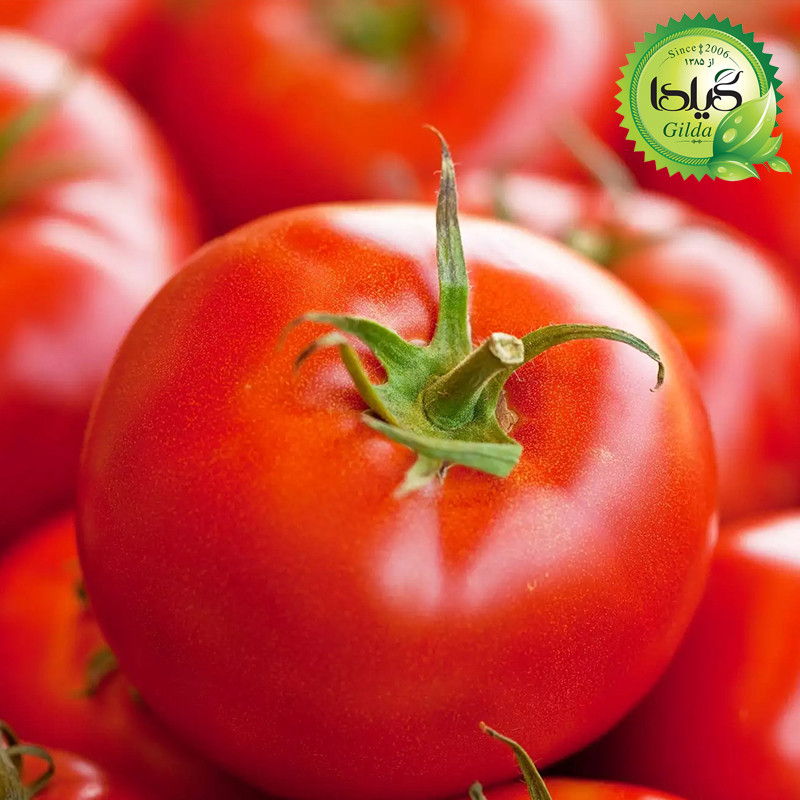 بذر گوجه امین گیلدا کد 552