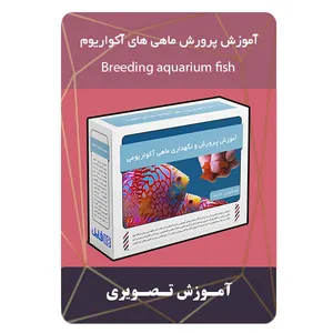 ویدئو آموزش پرورش ماهی های آکواریوم نشر برج