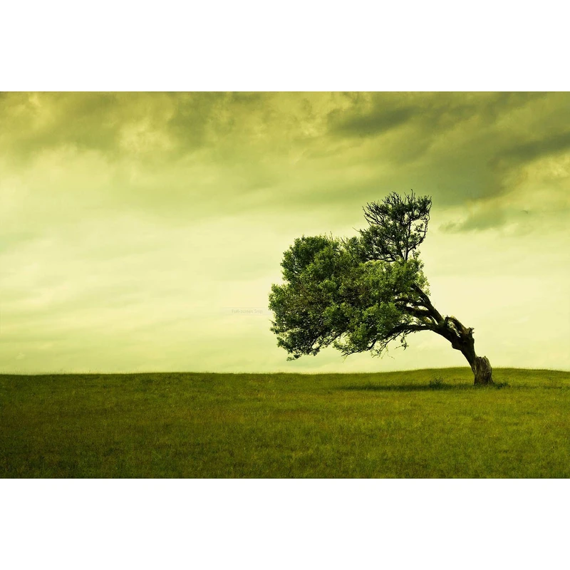 مگنت طرح منظره درخت باد مدل T1216 