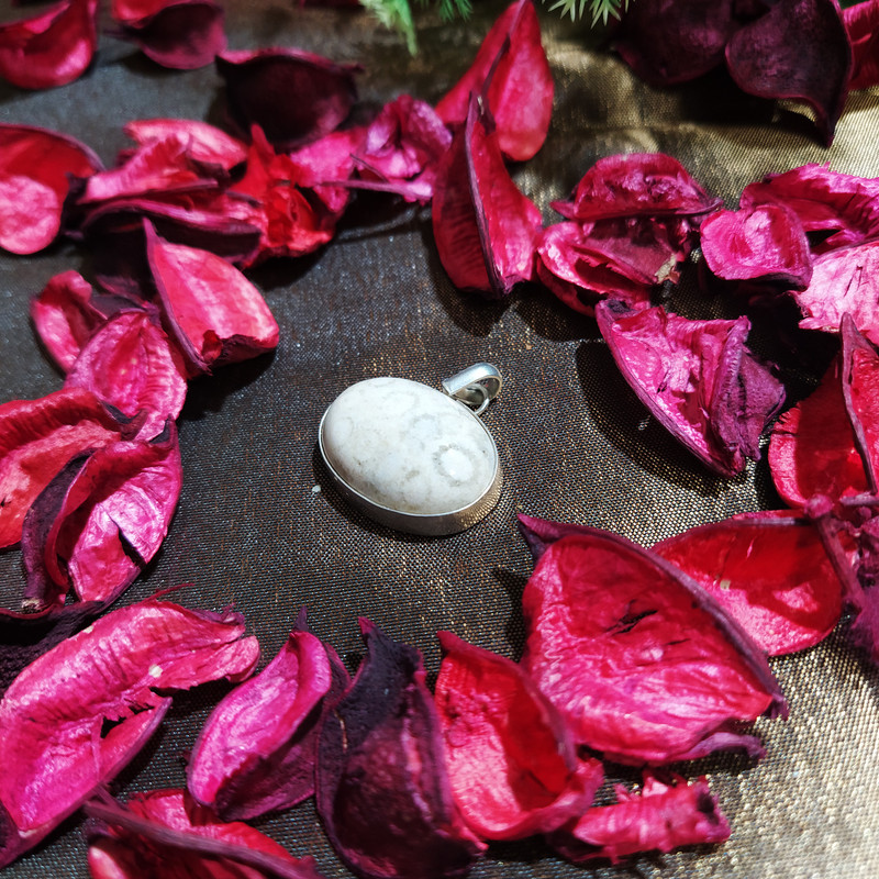 آویز گردنبند نقره زنانه سلین کالا مدل عقیق شجر ce-ew216