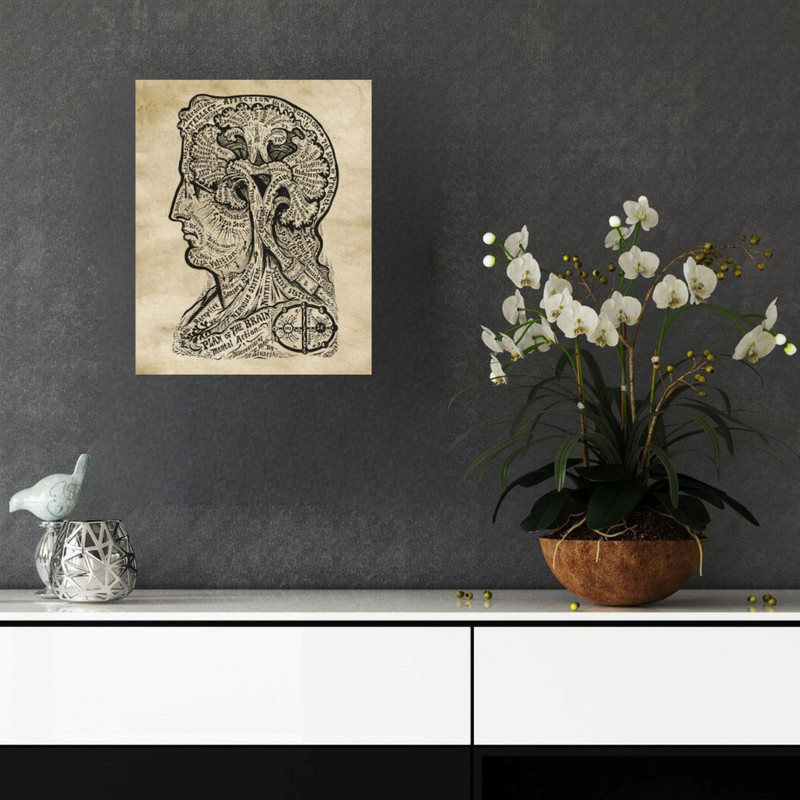 پوستر مدل  چاپ کتاب زندگی با هنر فرنولوژی  