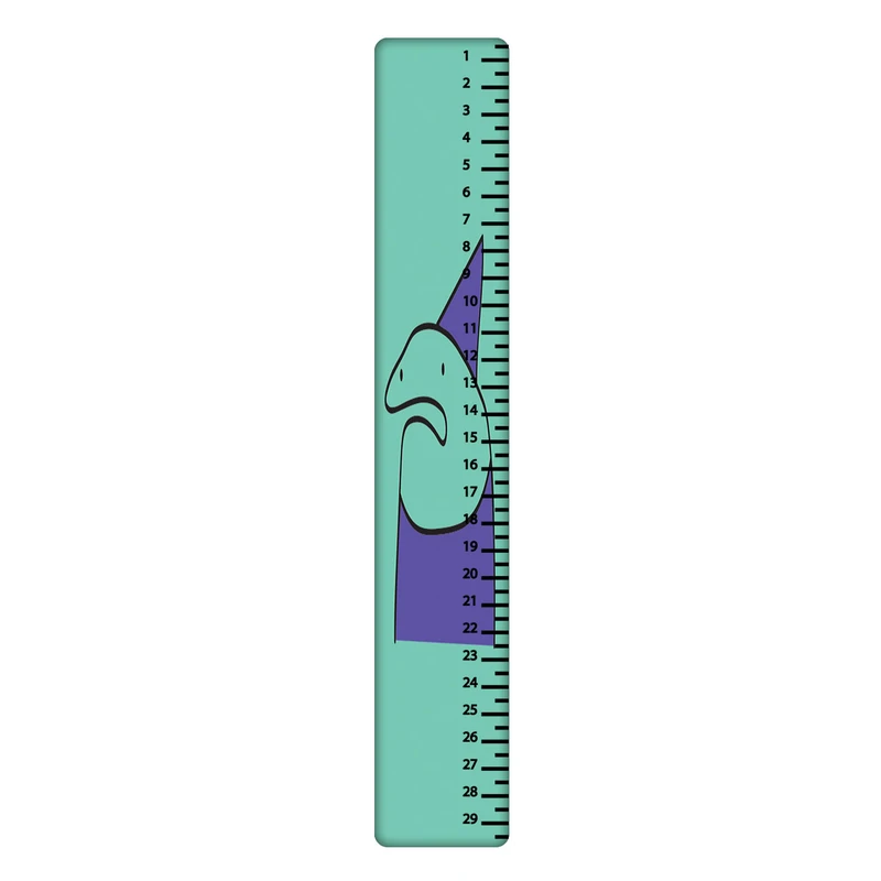 خط کش 30 سانتی متر طرح میقولی کد 2430