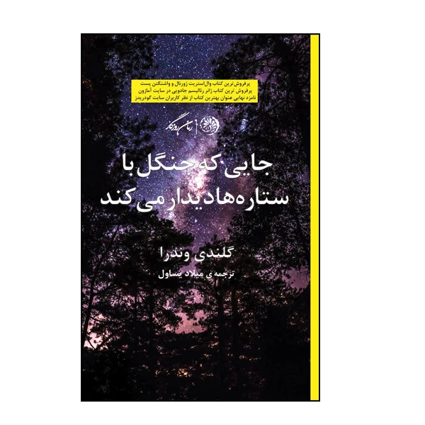 کتاب جایی که جنگل با ستاره ها دیدار میکند اثر گلندی وندرا نشر روزگار