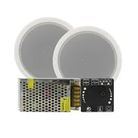 پخش کننده خانگی مدل پکیج دو کانال مجموعه 4 عددی