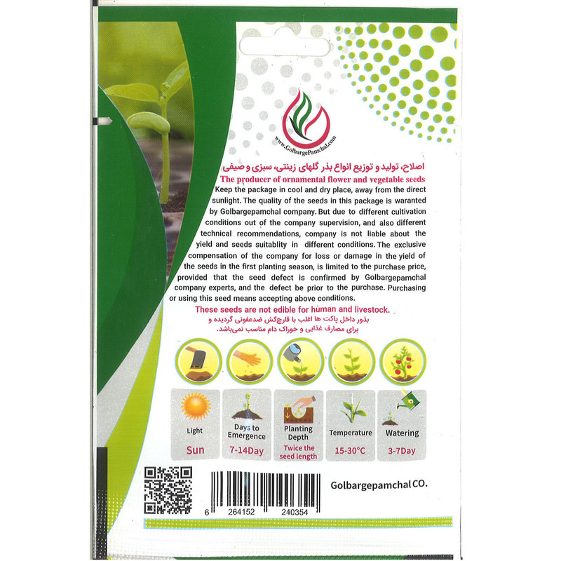 بذر گل اطلسی گل درشت بنفش جی پی سید مدل GP4628 بذر گل اطلسی گل درشت بنفش جی پی سید مدل GP4628