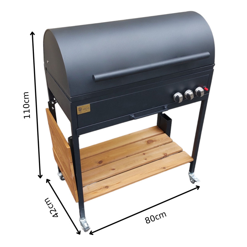 باربیکیو اصلان مدل M80T