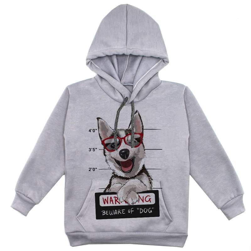 هودی پسرانه مدل هاسکی F67  رنگ طوسی