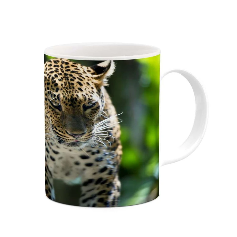 ماگ کاکتی مدل بچه پلنگ کد mgh11369