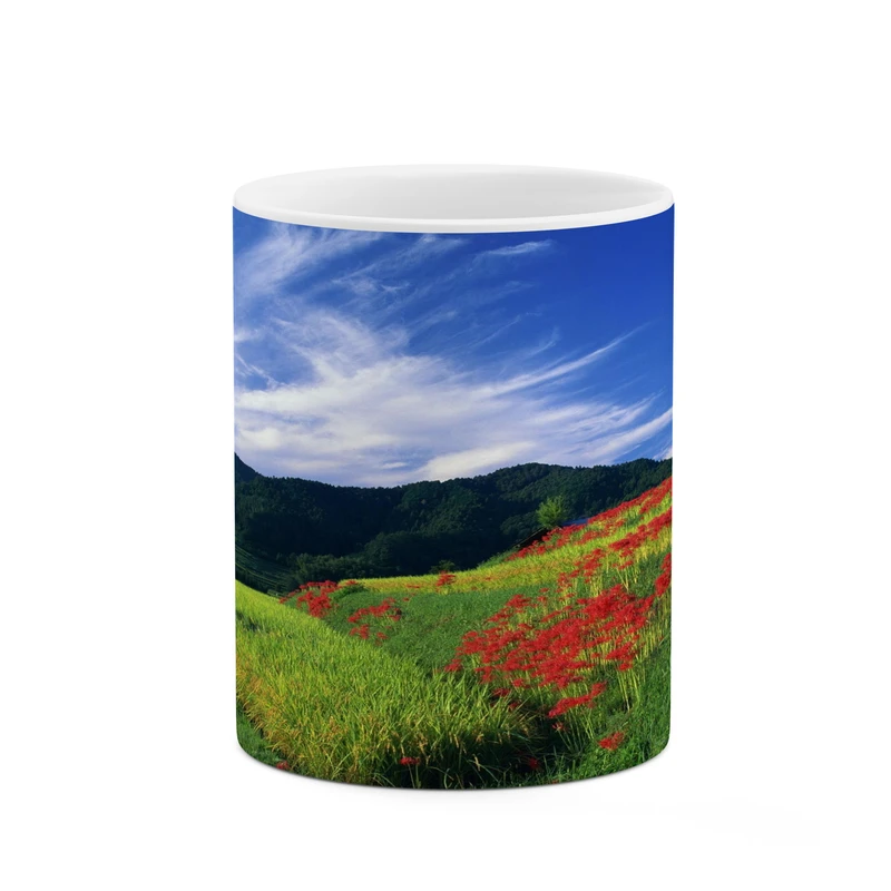 ماگ کاکتی مدل منظره کد mgh17798