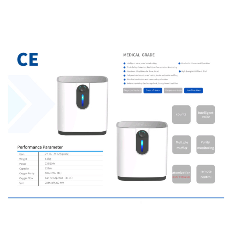 اکسیژن ساز مدل ZY1Z