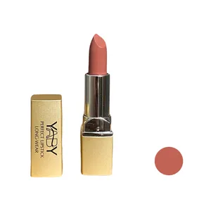 رژ لب جامد یابی شماره y-11