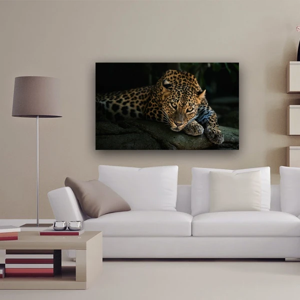 پوستر مدل حیوانات طرح پلنگ ایرانی کد 1043