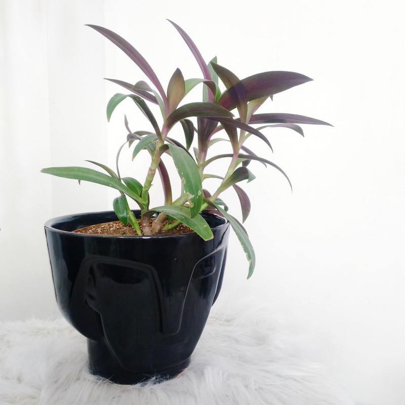 گلدان مدل گلدان مدل سرامیکی طرح چهره مدل 2078 مجموعه 2 عددی گلدان مدل گلدان مدل سرامیکی طرح چهره مدل 2078 مجموعه 2 عددی