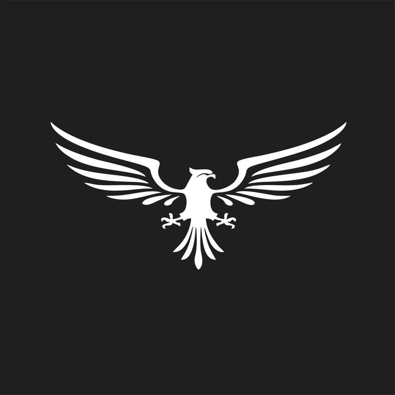 برچسب بدنه خودرو لیزارد مدل فانتزی طرح شاهین کد LZD-862