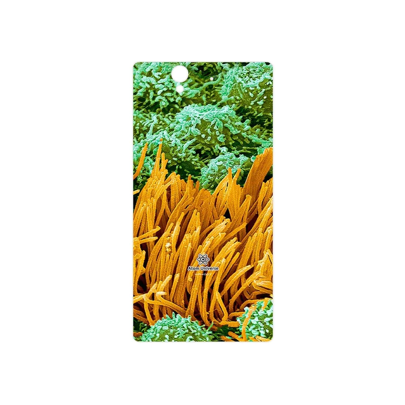 برچسب پوششی ماهوت مدل Atom Universe 6 مناسب برای گوشی موبایل سونی Xperia Z