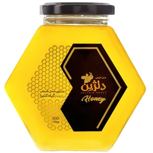 عسل کتیرا دلژین - 500 گرم