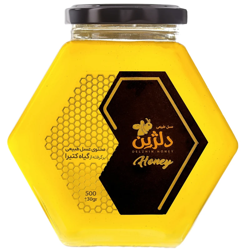 عسل کتیرا دلژین - 500 گرم