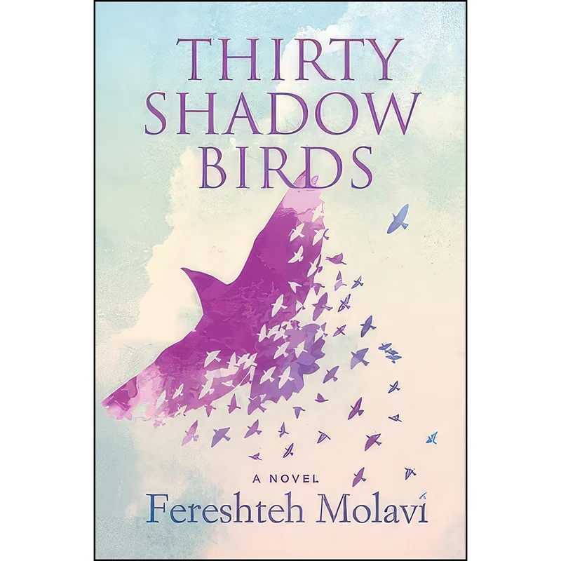 کتاب Thirty Shadow Birds اثر Fereshteh Molavi انتشارات Inanna Publications