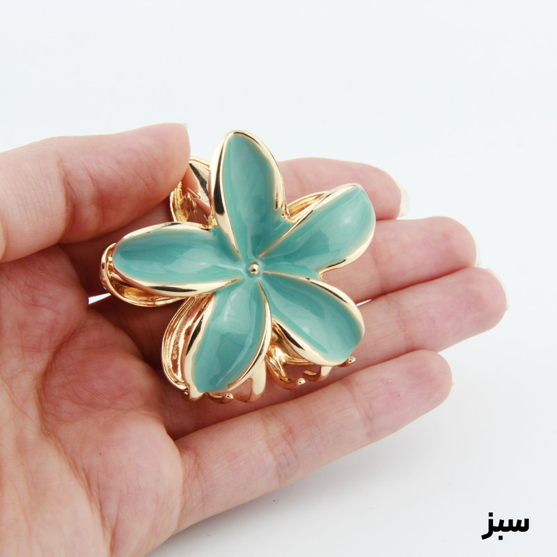کلیپس مو زنانه مدل پلومریا کد 3327