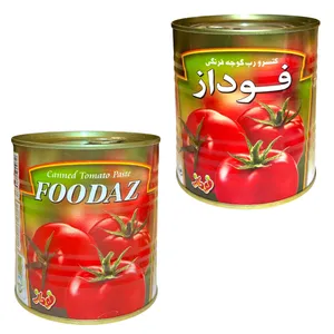 رب گوجه فرنگی فوداز 800 گرم بسته 2 عددی
