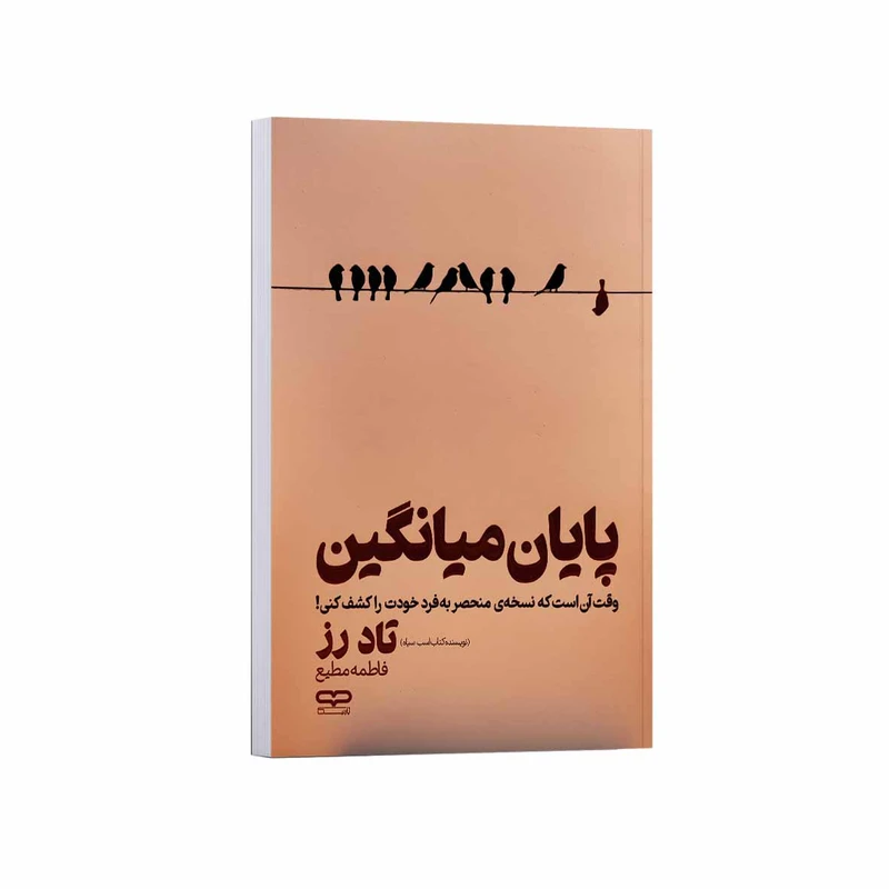 کتاب پایان میانگین اثر تاد رز ترجمه فاطمه مطیع انتشارات یارنیک