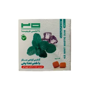 آدامس نعنا یخی طبیعی بیست بسته 14 عددی