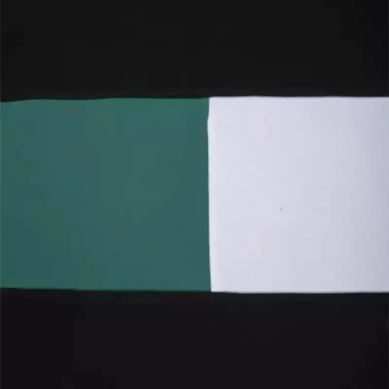 ست تی شرت و شلوارک پسرانه مدل MDSS-CG4140