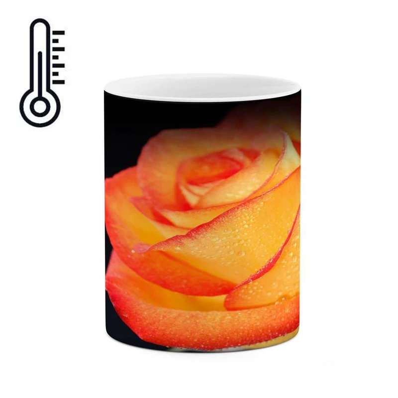 ماگ حرارتی کاکتی مدل گل رز کد mgh18045