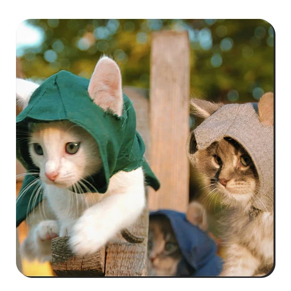  زیر لیوانی طرح بچه گربه کد nzl643