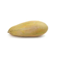خربزه بزرگ Fresh مقدار 2.5 تا 3.5 کیلوگرم