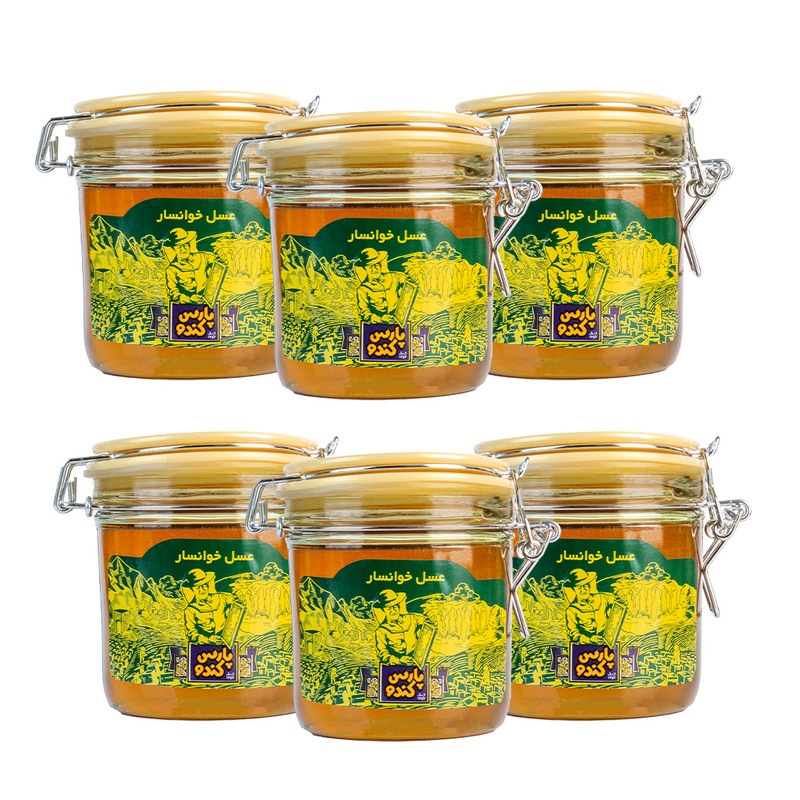 عسل پارس کندو - 600 گرم - بسته 6 عددی