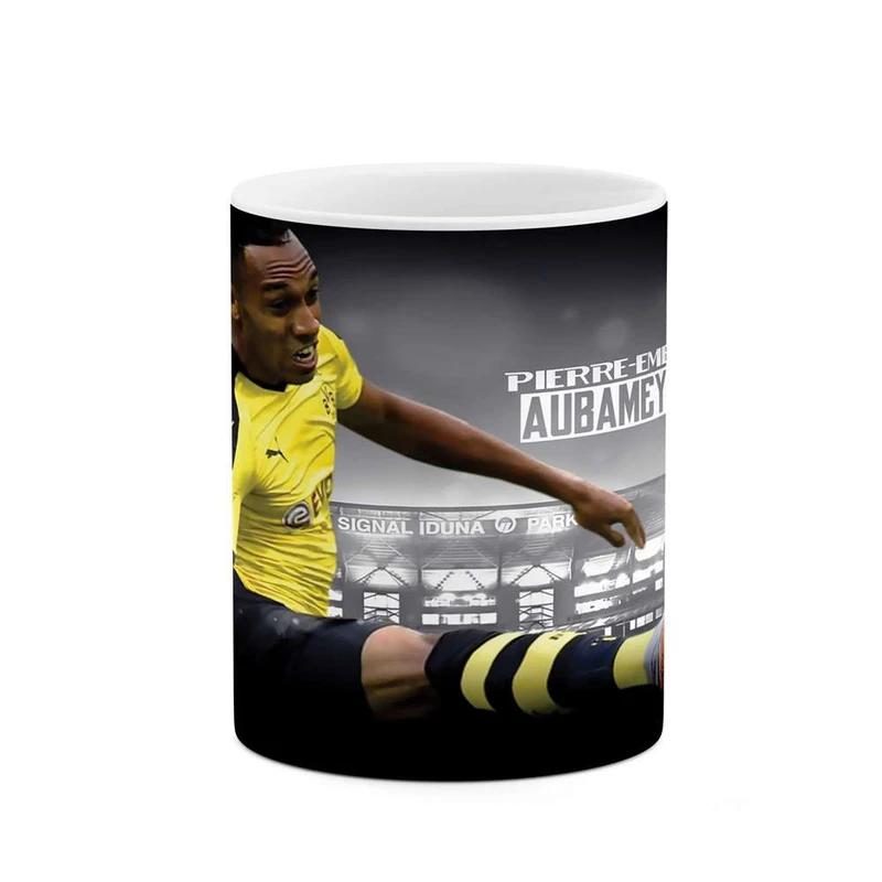 ماگ کاکتی مدل آبامیانگ کد mgh10309