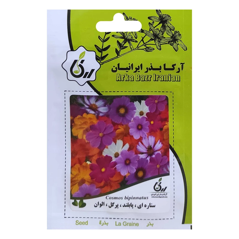  بذر ستاره پابلند پرگل الوان آرکا بذر ایرانیان کد ARK-032