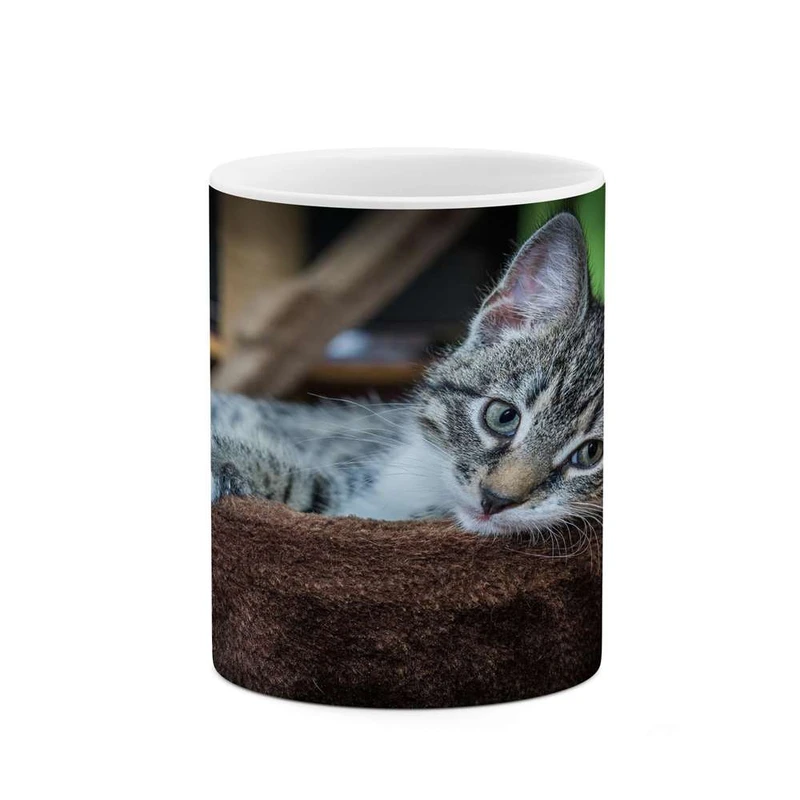 ماگ کاکتی مدل گربه کد mgh14048