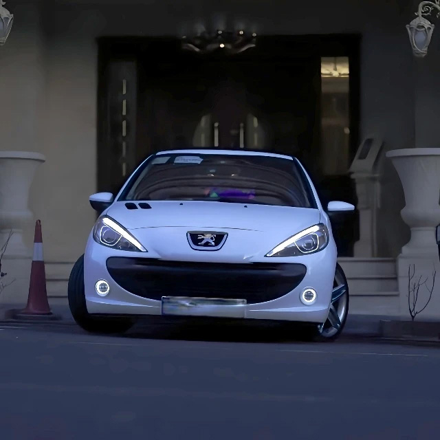 مه شکن جلو اسپرت خودرو  گروه پژوهش صنعت مدرن مدل Neon-W بسته دو عددی
