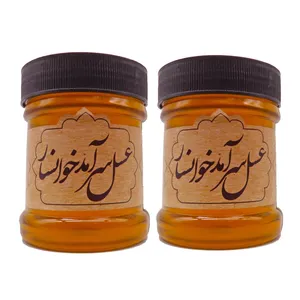 عسل طبیعی چند گیاه سرآمد  - 400 گرم بسته 2 عددی