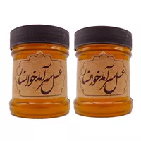 عسل طبیعی چند گیاه سرآمد - 400 گرم بسته 2 عددی