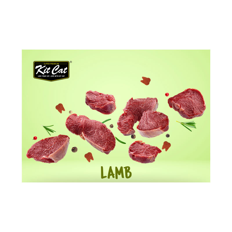 تشویقی گربه کیت کت مدل چیپسی برای مراقبت از مجاری ادراری با طعم بره وزن 20 گرم